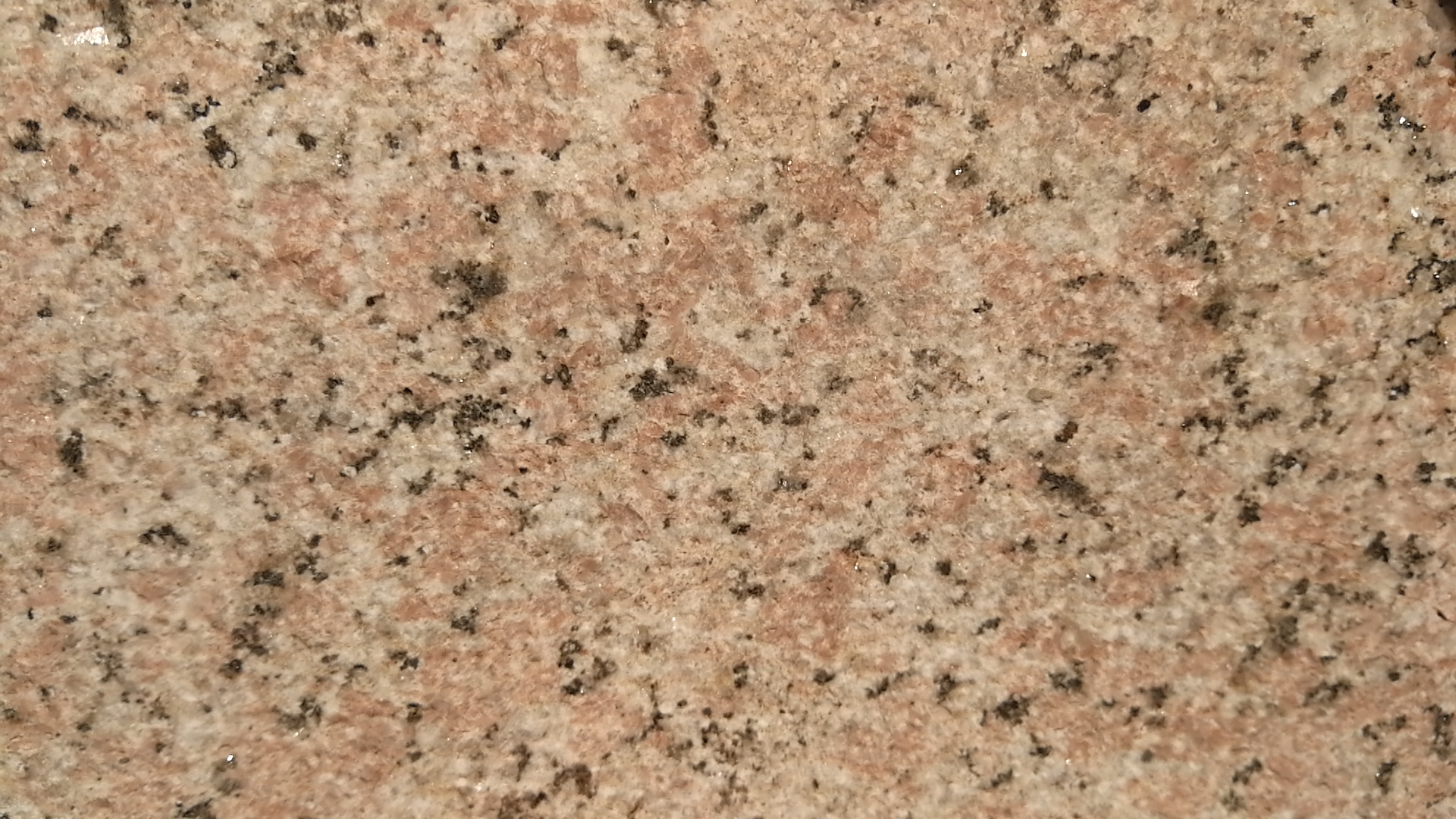 河北新櫻花紅廠家