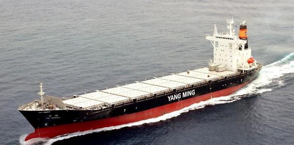 海運、雙清派送到門  越南大件貨物海運專線