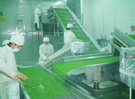 果蔬速凍機廠家直銷 果蔬速凍機廠家供應(yīng)