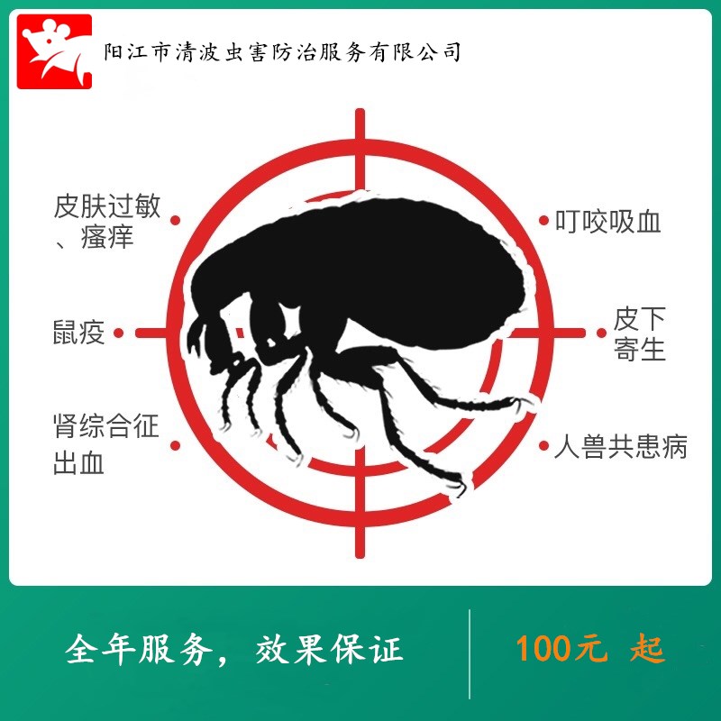 滅殺除蟑螂公司老鼠跳蚤螞蟻 陽江專業(yè)上門四害滅除蟲殺蟲消殺公司