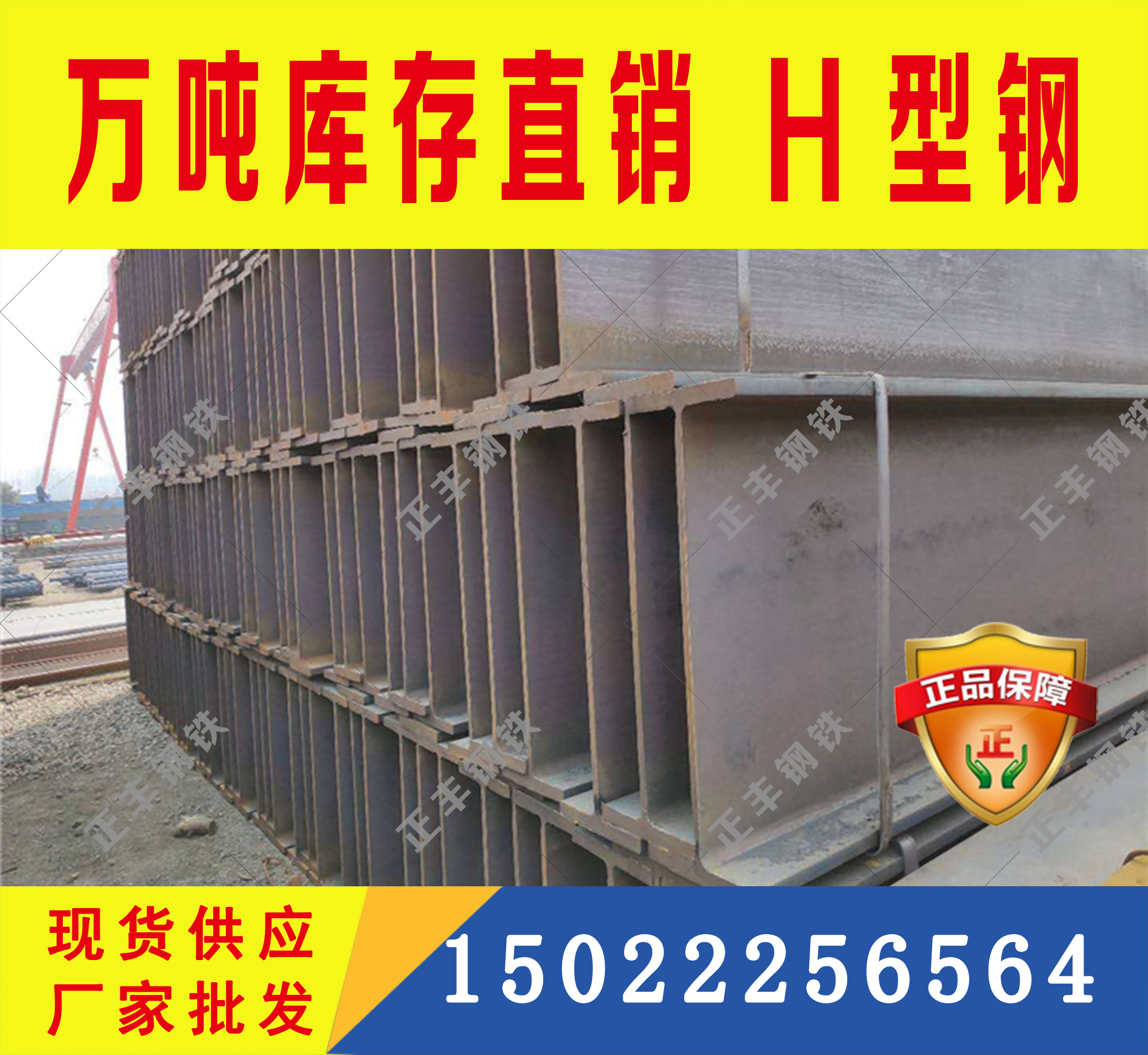 熱軋h型鋼  Q235CH型鋼 廠家直銷