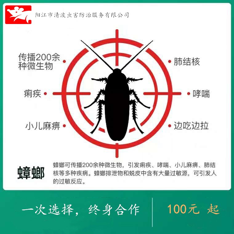 滅殺除蟑螂公司老鼠跳蚤螞蟻 陽江專業(yè)上門四害滅除蟲殺蟲消殺公司