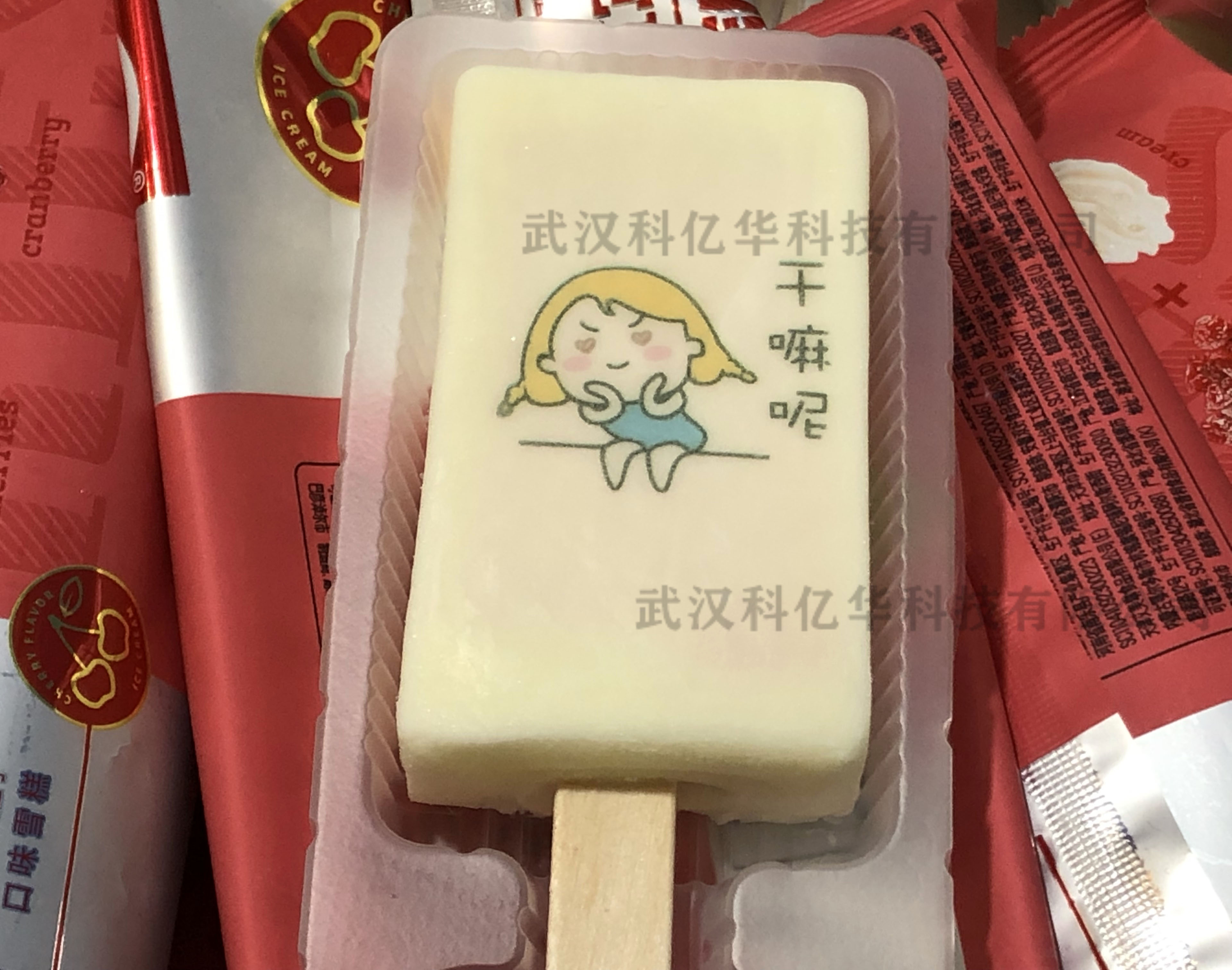 供應(yīng)冰淇淋噴墨打印機(jī)、雪糕噴碼機(jī)、雪糕食品打印機(jī)廠家直銷