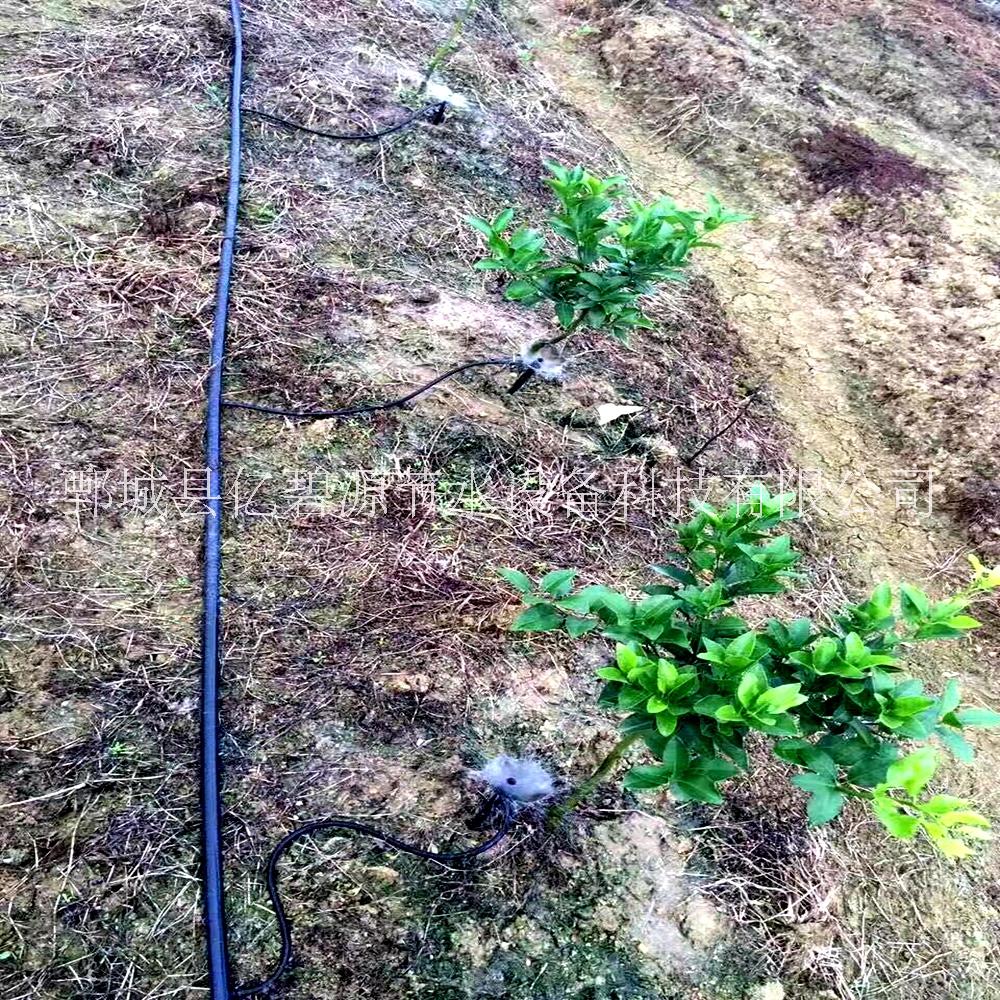 成都丑橘滴灌管 露天果園灌滴水管管間距 果園內(nèi)鑲式滴灌管廠家