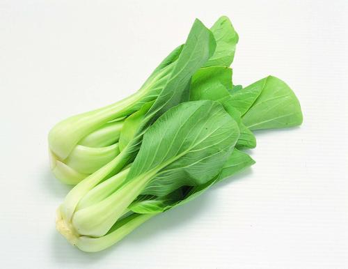 漳州地區(qū)學校食材配送