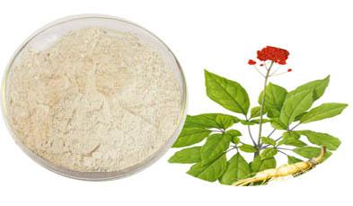 人參提取物水提浸膏人參皂甙藥食同源1KG起售