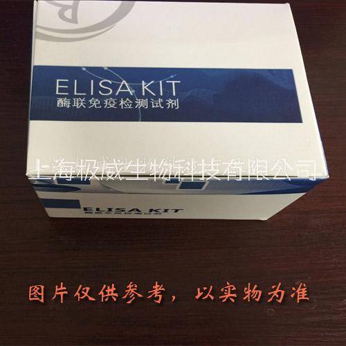 豬胰島素(INS)elisa試劑盒@極威新聞