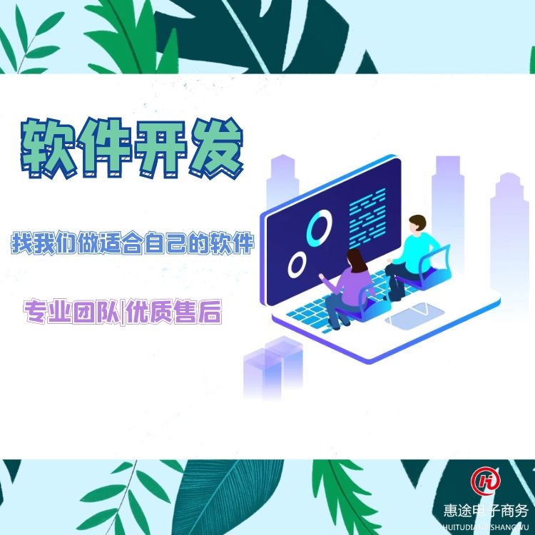 應(yīng)用軟件開發(fā)衡水找惠途電商