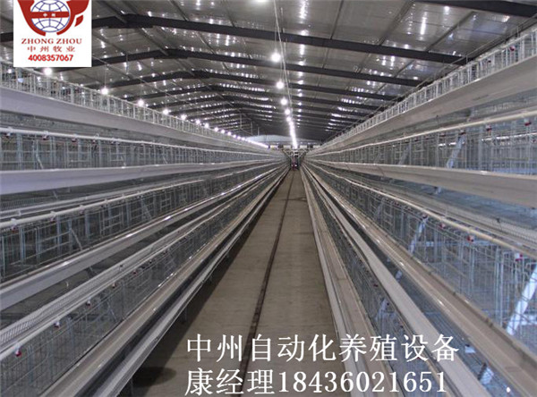 中州蛋雞籠 熱鍍鋅雞籠 廠家直銷 量大從優(yōu)