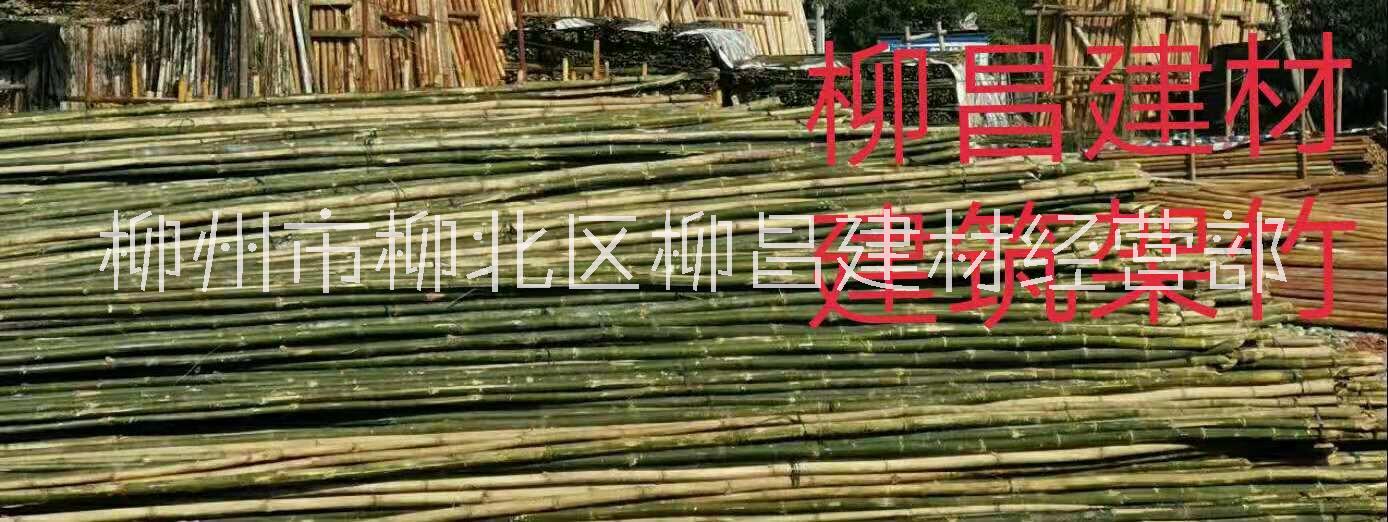 柳州毛竹高竹產(chǎn)地砍伐價(jià)批發(fā)