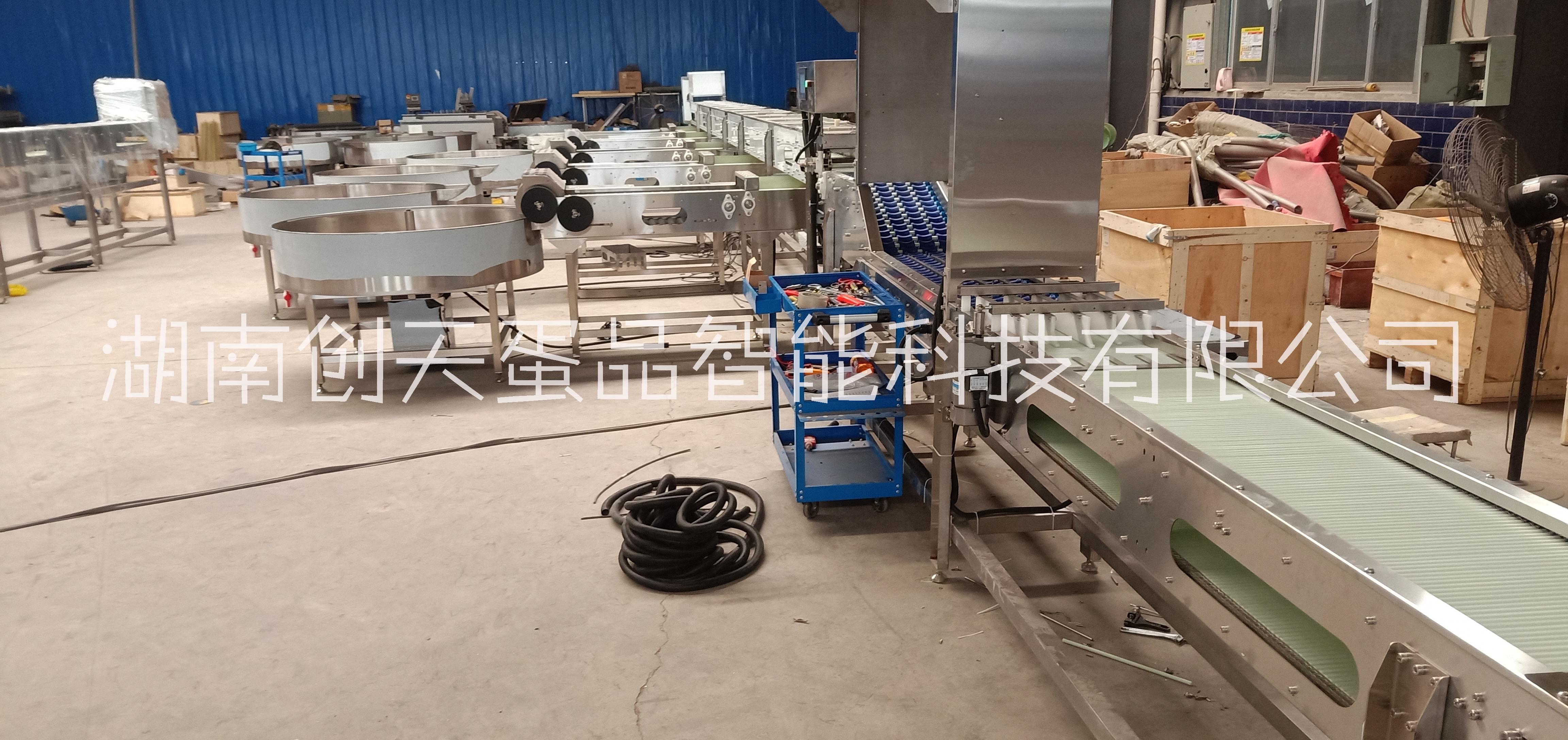 自動電子雞蛋鴨蛋分級機