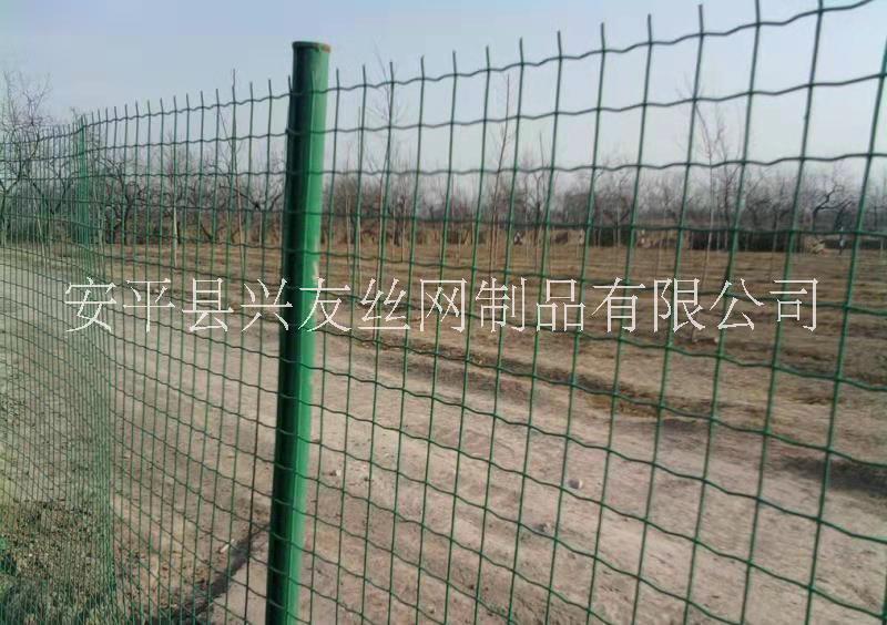 安平興友供應(yīng)雙邊絲護欄網(wǎng) 護欄網(wǎng) 浸塑工藝