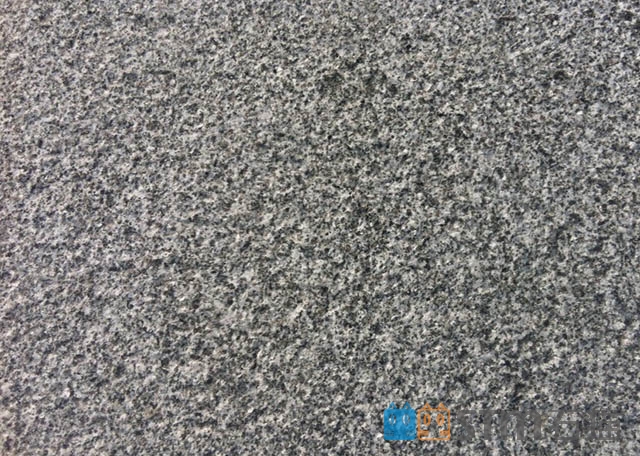 芝麻黑荔枝面供應(yīng)