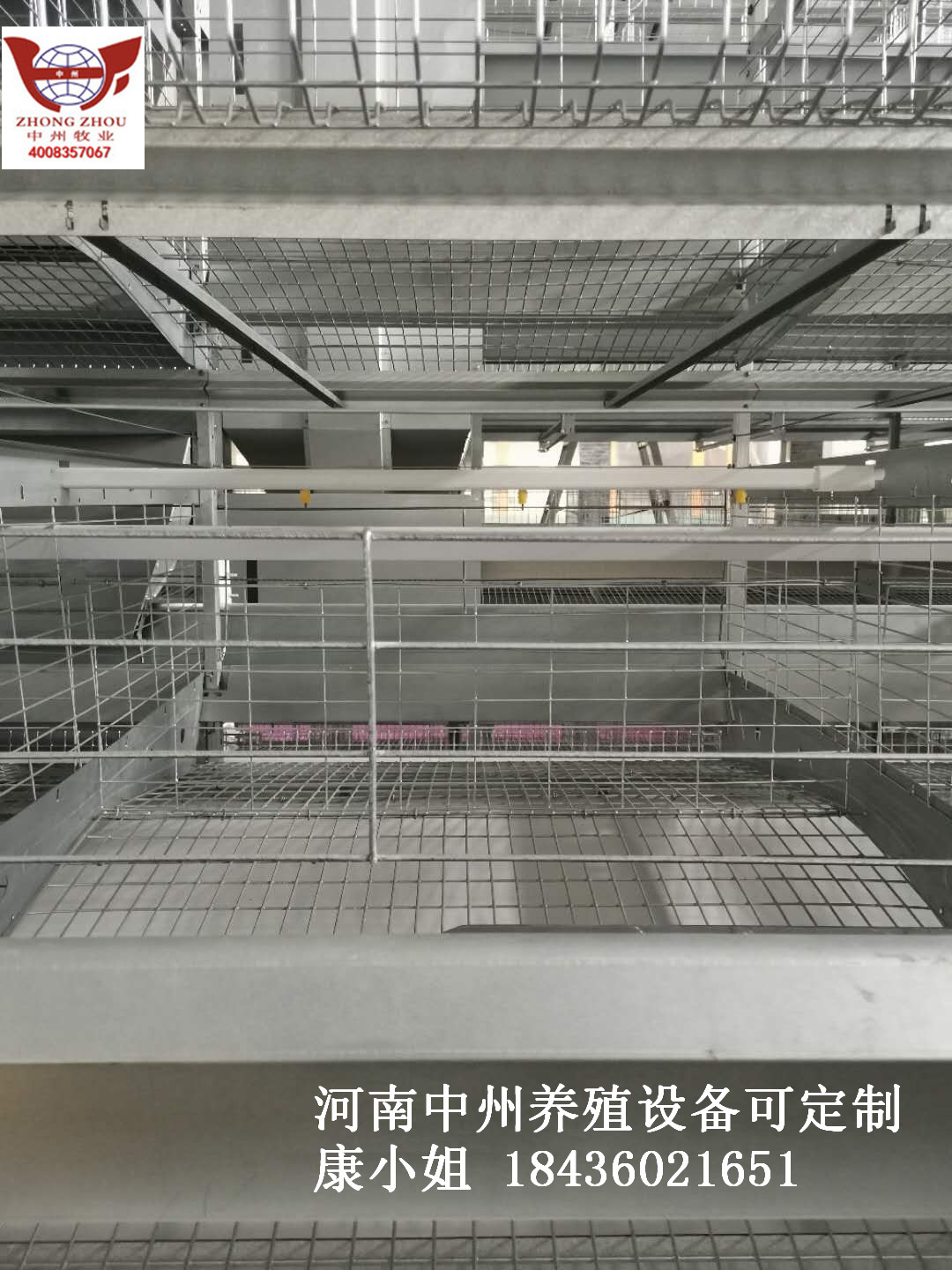 熱鍍鋅蛋雞籠 多層雞籠鐵絲網(wǎng)立體雞籠 養(yǎng)雞設(shè)備