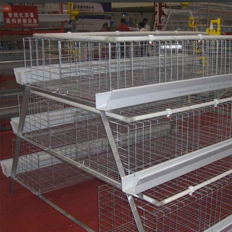 河北雞籠|雞籠供應(yīng)商|供應(yīng)雞籠的自動(dòng)化養(yǎng)殖 雞籠設(shè)備