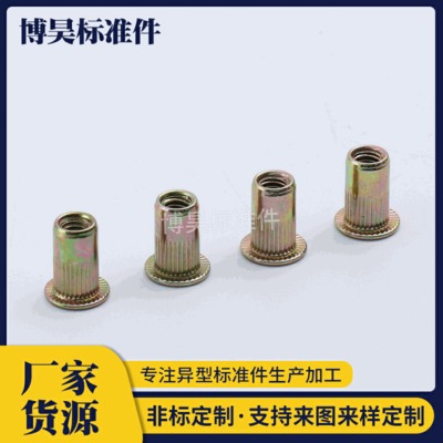 彩鋅拉鉚螺母 拉鉚螺帽 平頭拉鉚螺母 小沉頭拉鉚螺母 多規(guī)格