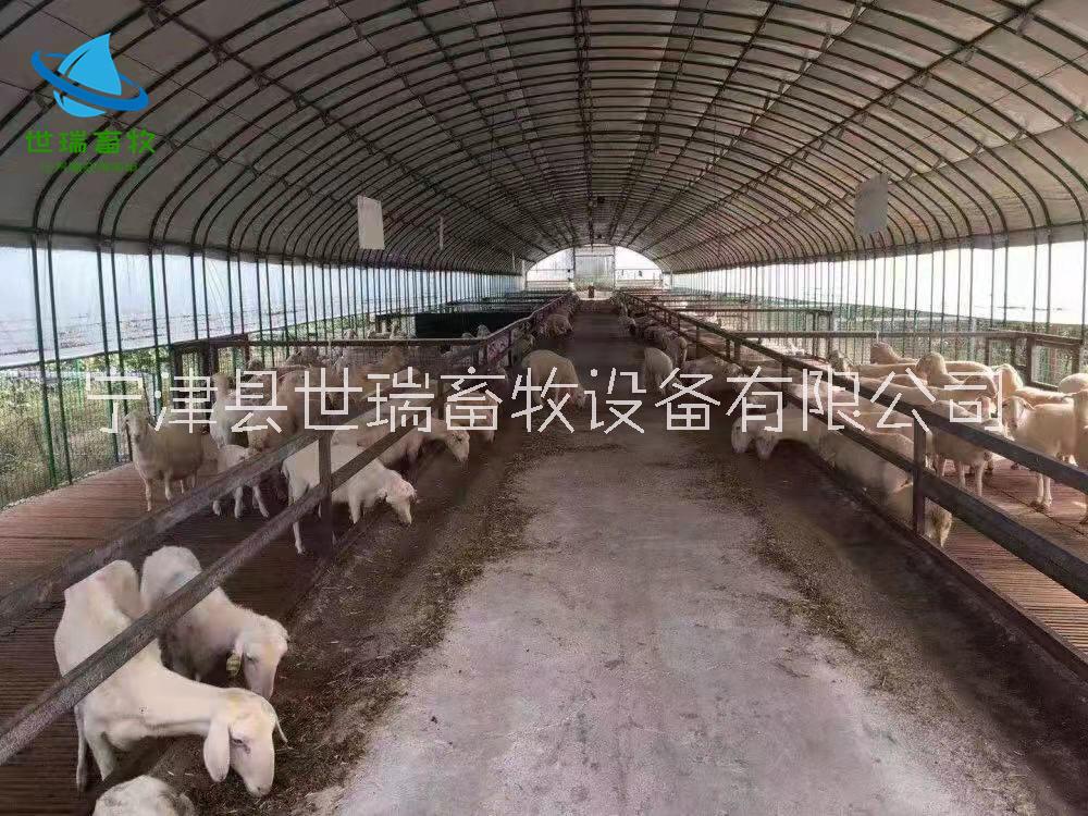 養(yǎng)羊大棚 養(yǎng)羊大棚搭建 養(yǎng)羊大棚建設(shè) 養(yǎng)羊大棚建設(shè)廠家 養(yǎng)羊大棚建設(shè)成本