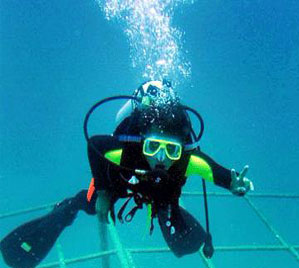 水下作業(yè)工程 水下作業(yè)公司  水下作業(yè)哪家好