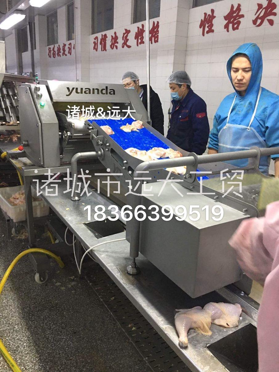 雞腿去皮機專業(yè)生產(chǎn)廠家諸城遠大
