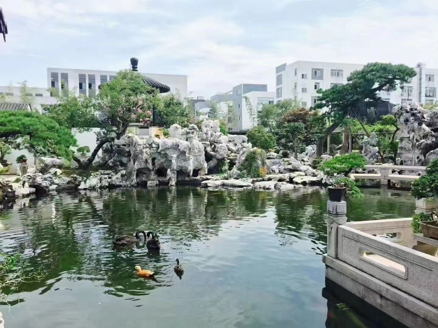山東青島庭院太湖石供應(yīng)商、庭院太湖石市場(chǎng)價(jià)多少錢