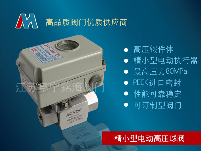 Q911N 高壓防爆電動(dòng)球閥 微型防爆球閥