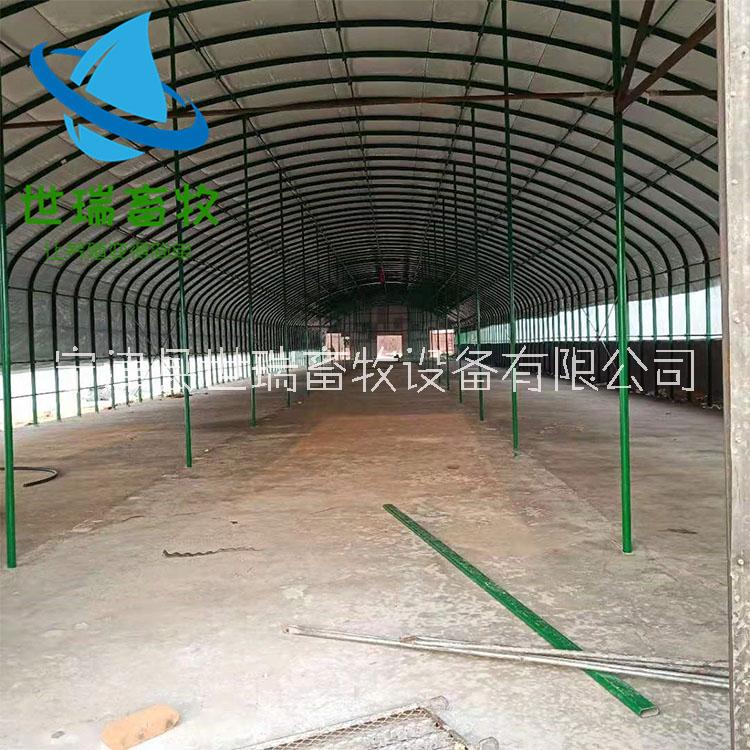 黃牛養(yǎng)殖大棚搭建 養(yǎng)牛棚建設成本 牛舍搭建廠家