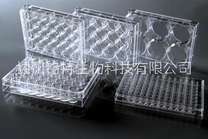 NEST細(xì)胞培養(yǎng)板6孔12孔24孔48孔96孔