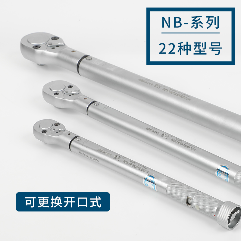 NB-10東方準(zhǔn)達(dá)2-10N.m扭力扳手預(yù)置式扳手 上?？偞?  title=