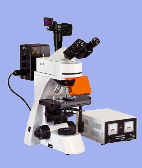 研究型 蔡倒置熒光顯微鏡XDS-600C