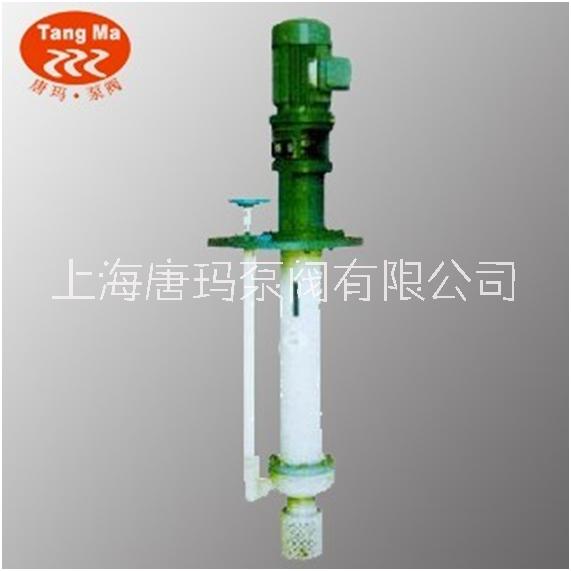 上海FYS耐腐蝕液下泵廠家銷售、價(jià)格實(shí)惠、廠家定制【上海唐瑪泵閥有限公司】