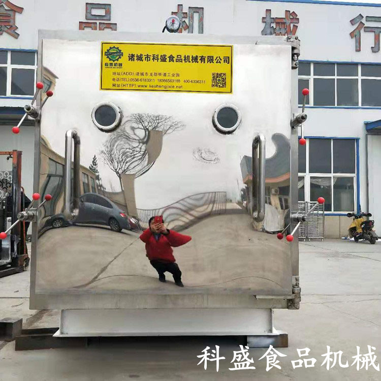 水果真空冷凍干燥機 凍干機 即食雞蛋羹真空凍干機 寵物食品凍干設備 芒果真空凍干機廠家