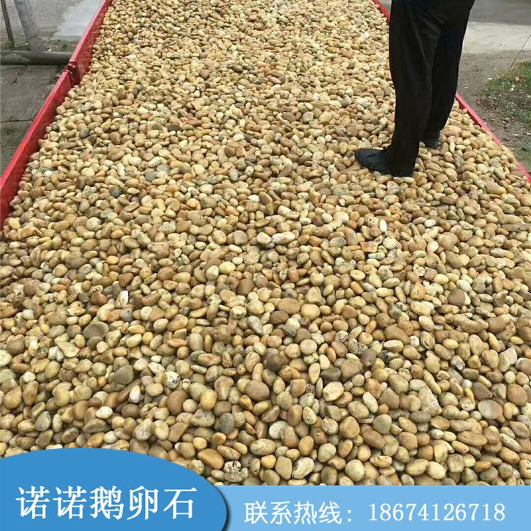 湖北黃白鵝卵石貨源-出售-直銷