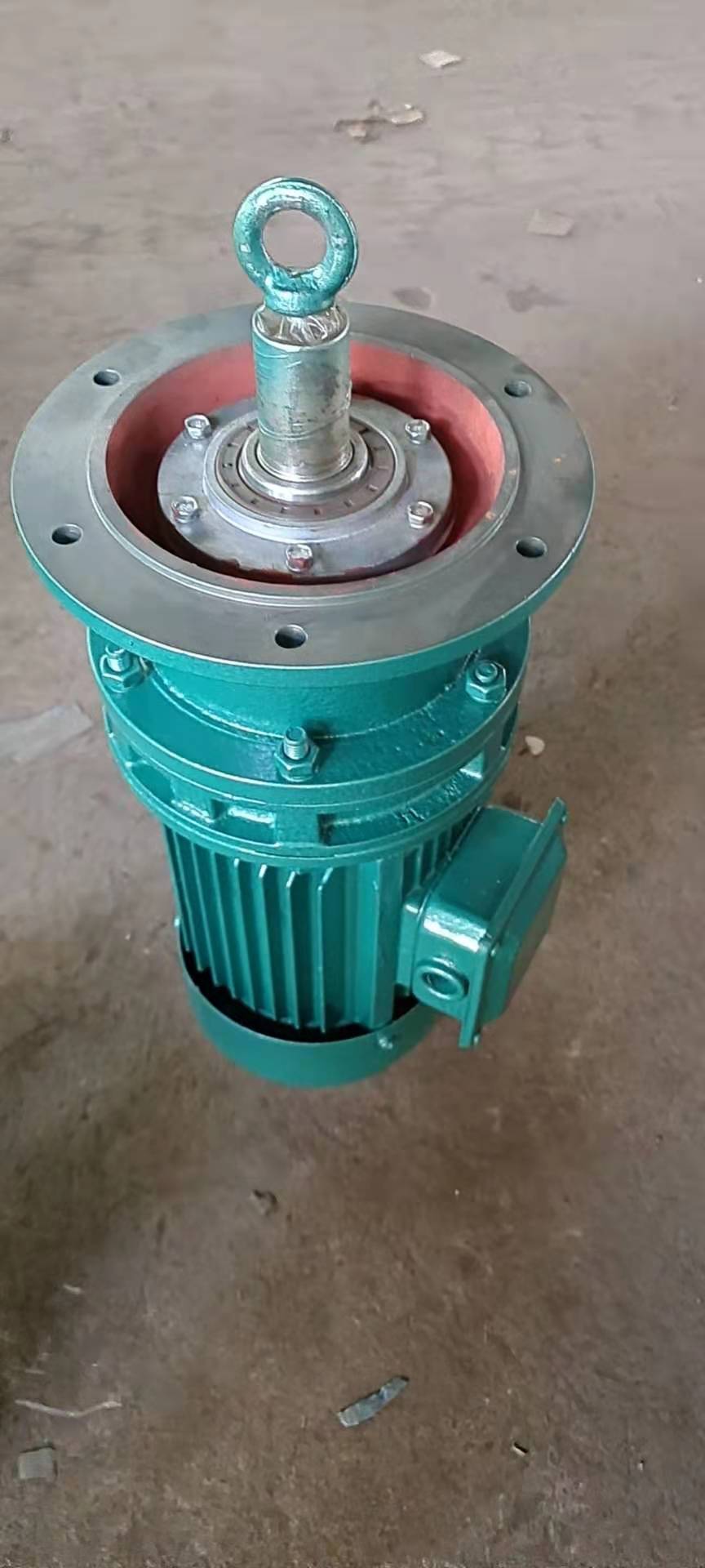 三相異步電動(dòng)機(jī) 連體臥式三相異步電動(dòng)機(jī) BWY BWD系列擺線針輪減速機(jī)