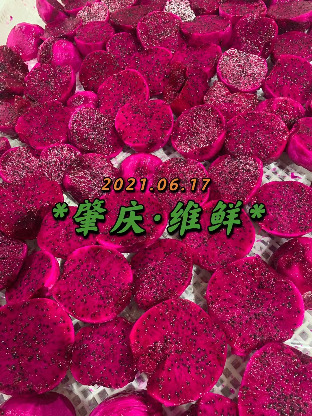 肇慶市維鮮食品 12.5kg/箱速凍紅芯火龍果