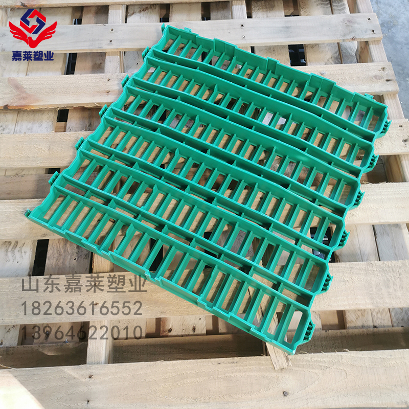 仔羊漏糞板 羊用塑料漏糞板廠(chǎng)家 豬漏糞板規(guī)格