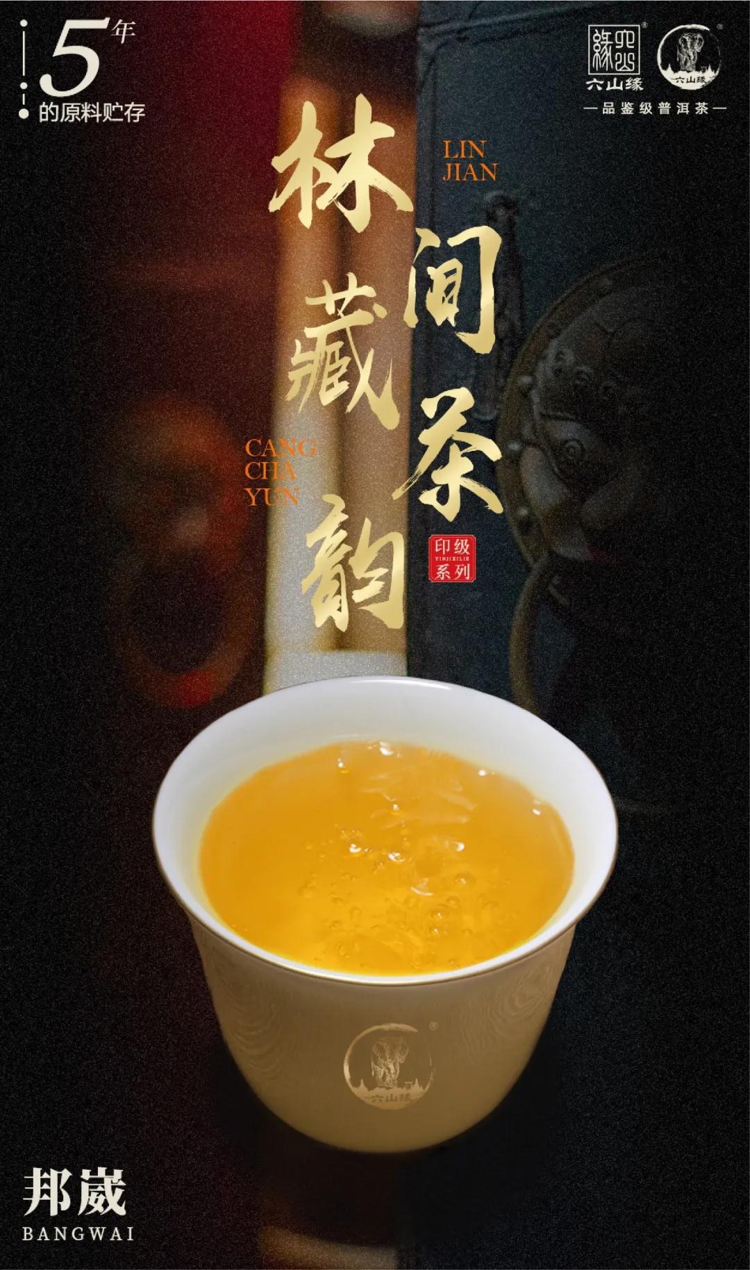 5年陳韻 — 2020年【黃印】 普洱茶 黃印版