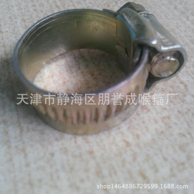 碳鋼鍍鋅英式喉箍廠家報價  碳鋼鍍鋅英式喉箍常年供應