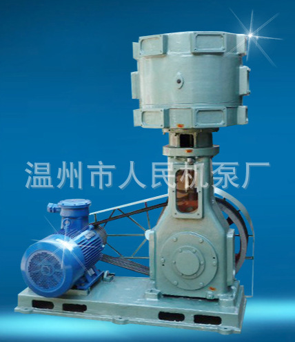 WLW300無(wú)油真空泵 無(wú)油真空泵