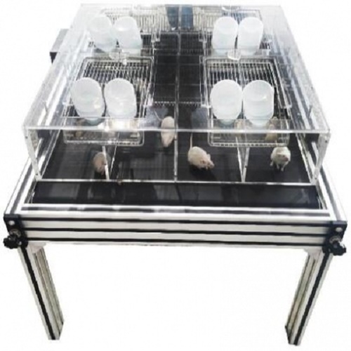 HT 小動(dòng)物睡眠剝奪儀 轉(zhuǎn)輪式睡眠剝奪儀 供應(yīng)