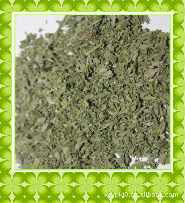 供應(yīng)貓薄荷干葉 質(zhì)優(yōu) 大量供應(yīng)