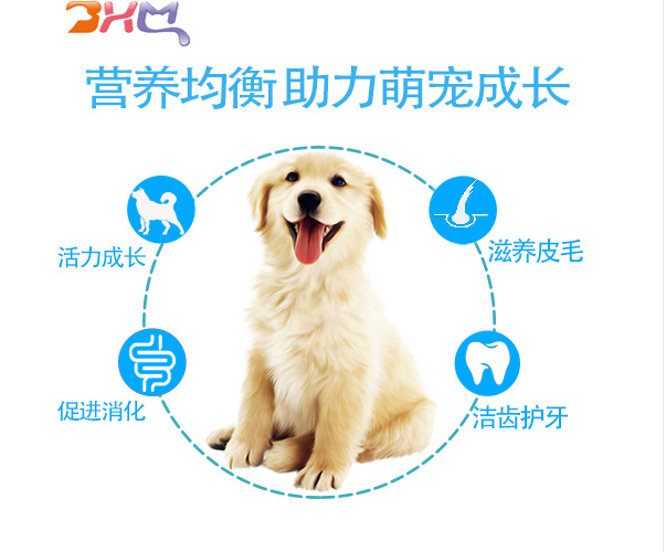 大白熊犬 大白熊犬犬糧供應(yīng) 大白熊犬*廠家* 大白熊大型犬**