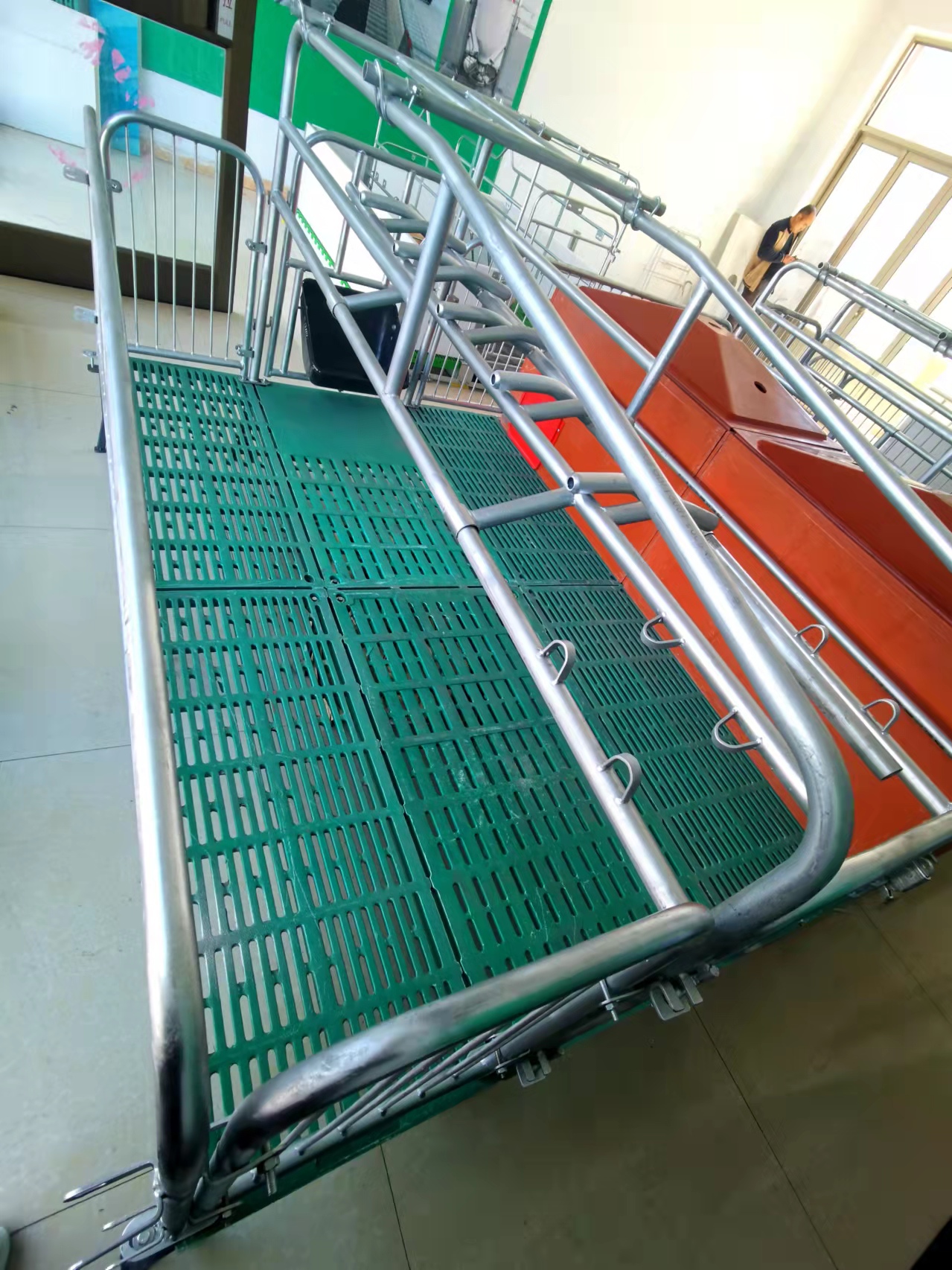 母豬產床母豬復合產床產保分娩床