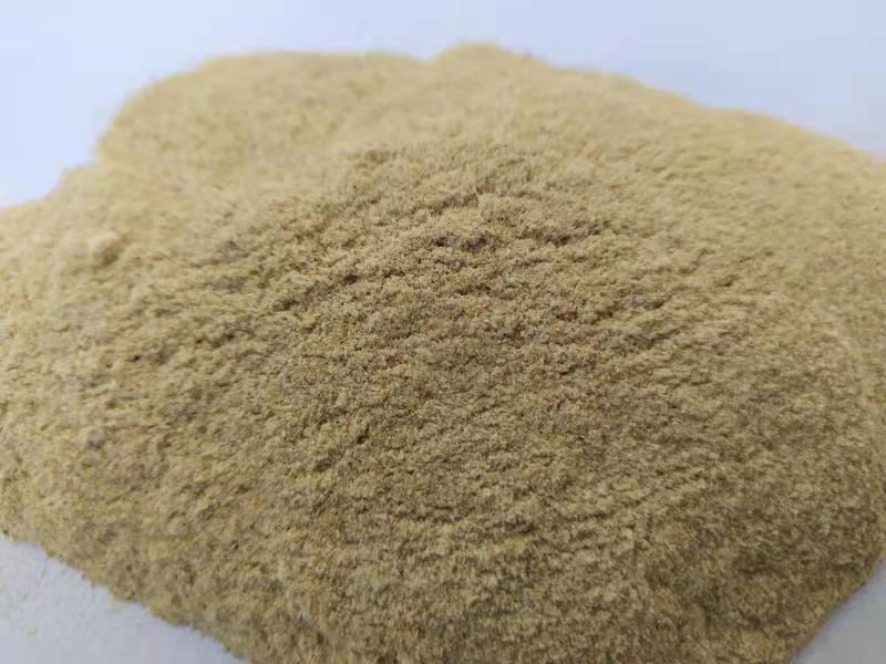 批發(fā) 供應  蝦粉 魚粉  食品級海鮮調味品