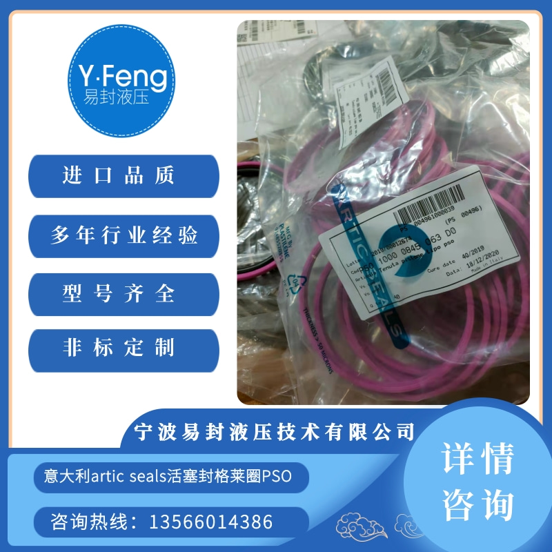 意大利artic seals活塞封格萊圈PSO供貨商 artic seals活塞封格萊圈批發(fā)【寧波易封液壓技術(shù)】