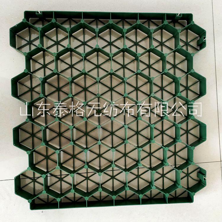 植草格 平口5公分 停車場消防通道植草格 草坪綠化 花口植草格