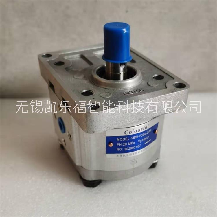 齒輪泵 塔吊油泵 油壓機油泵 農(nóng)機油泵齒輪泵CBWmb-F0.6