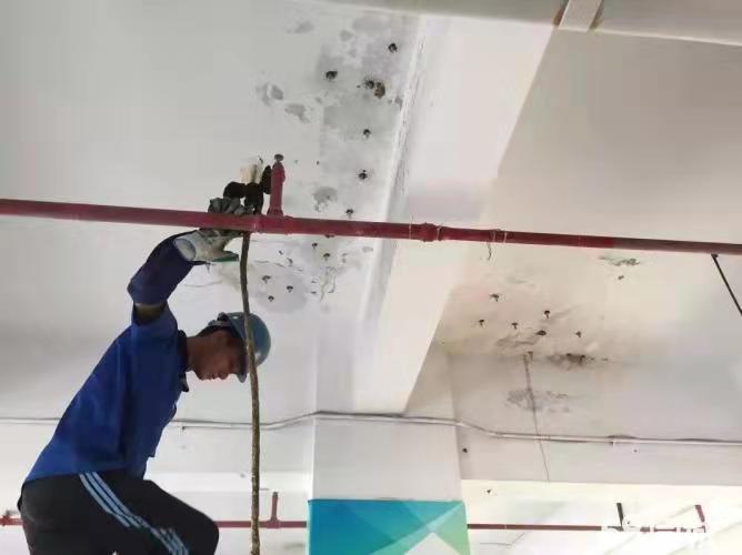 無憂防水補漏，免砸磚補漏