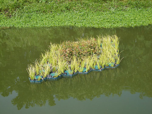 北京水上浮床制作 北京水上浮床廠家