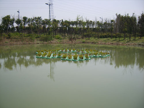 北京水上浮床制作 北京水上浮床廠家