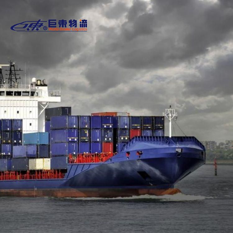 國際物流美國海運專線亞馬遜FBA頭程快船時效穩(wěn)定